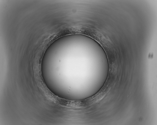X0000091001201200708091532