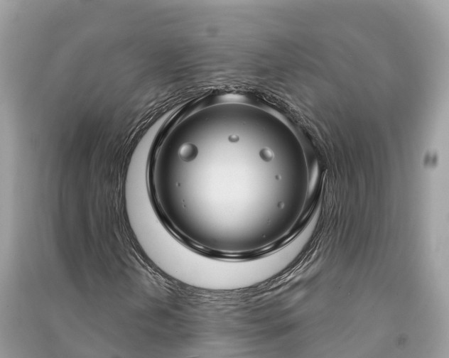 X0000091001202200708091532