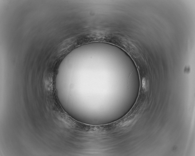 X0000091001203200708091532
