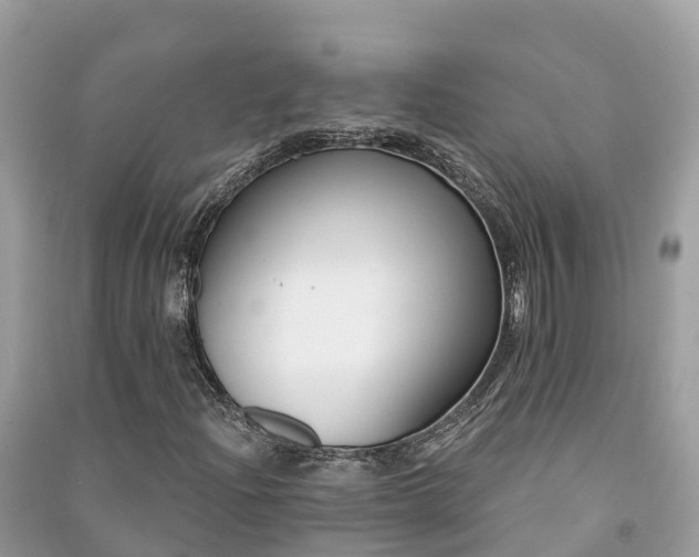 X0000091001204200708091532