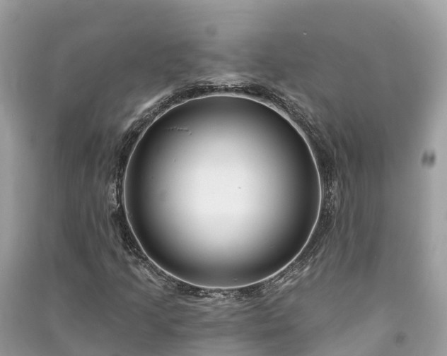X0000091001205200708091532