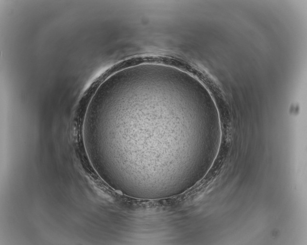 X0000091001208200708091532