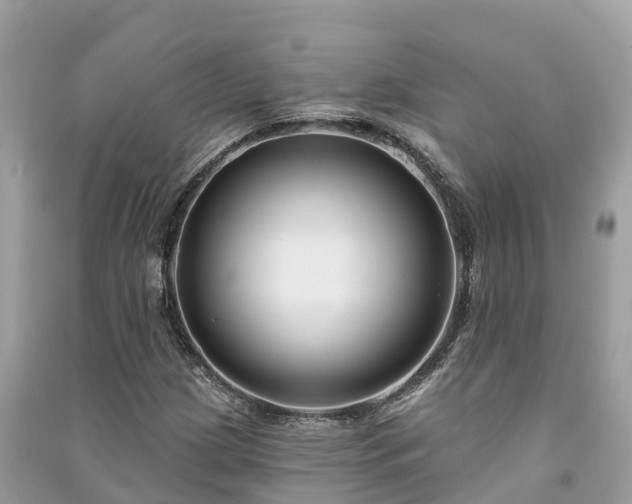 X0000091001209200708091532