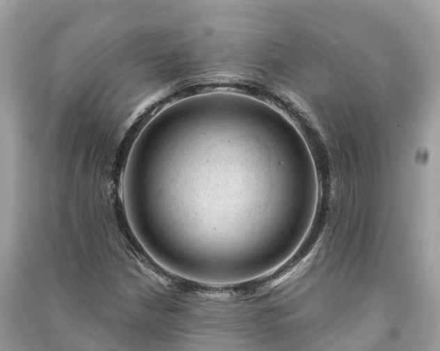 X0000091001210200708091532