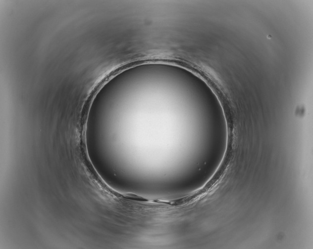 X0000091001212200708091532