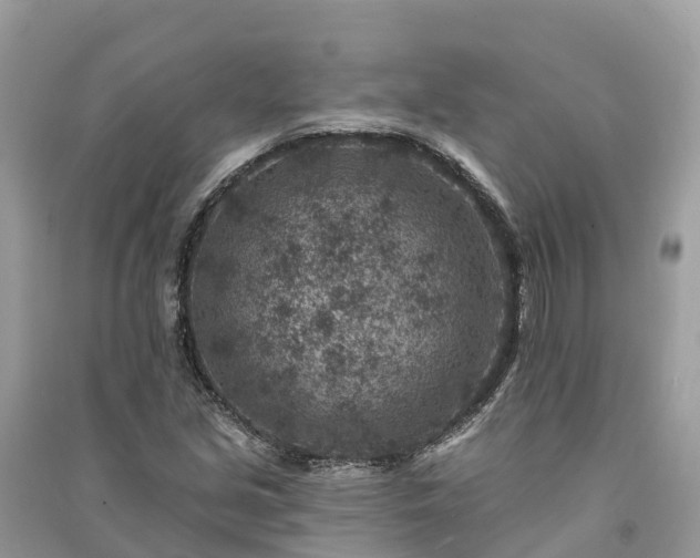 X0000091001213200708091532