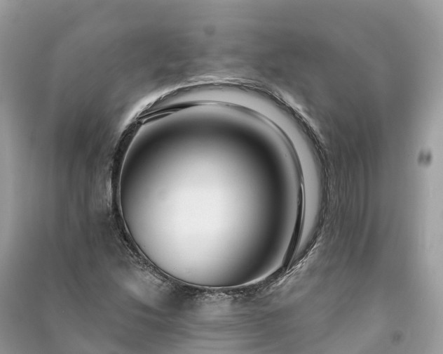 X0000091001214200708091532