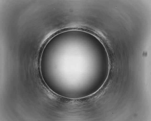 X0000091001216200708091533
