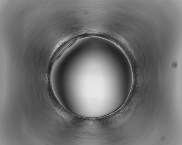 X0000091001218200708091533