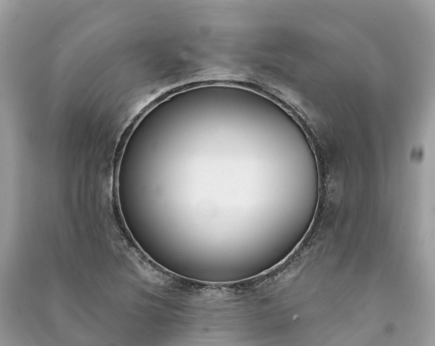 X0000091001220200708091533