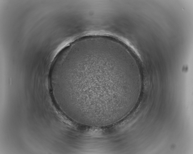 X0000091001221200708091533
