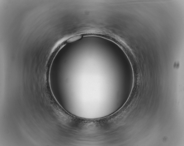 X0000091001222200708091533