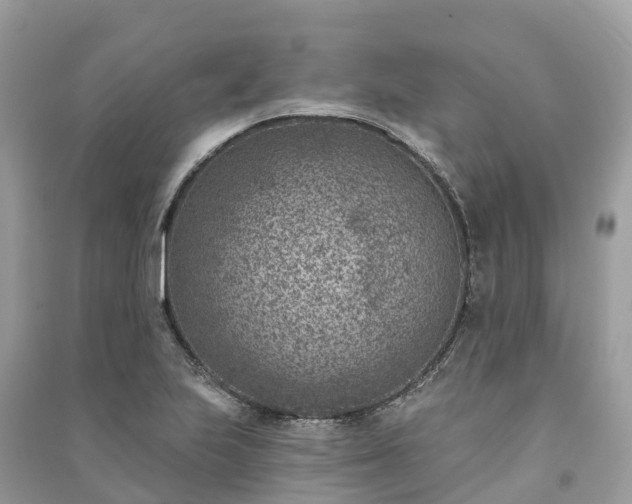 X0000091001223200708091533
