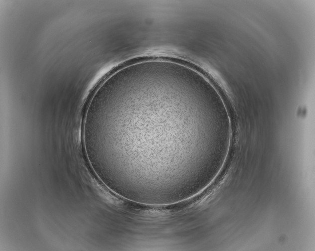 X0000091001224200708091533