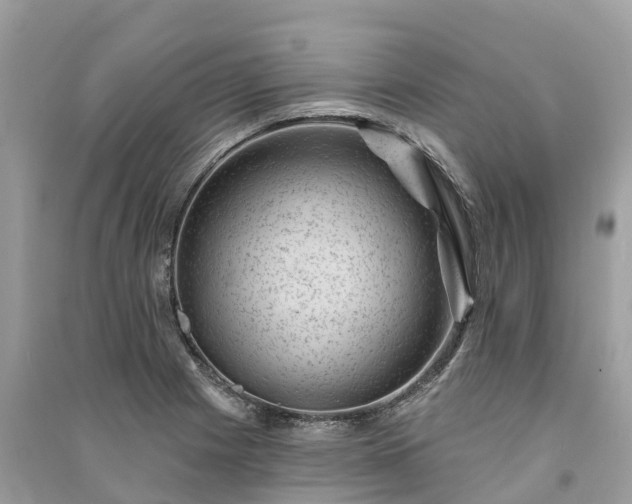 X0000091001225200708091533