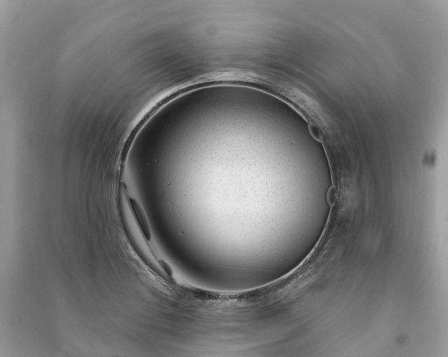 X0000091001228200708091533