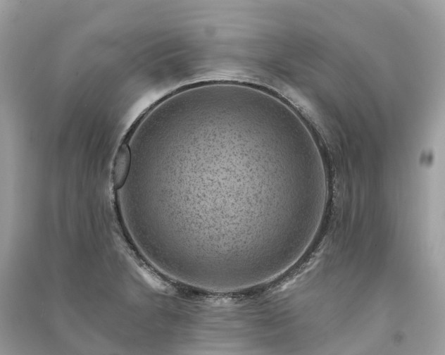X0000091001230200708091533