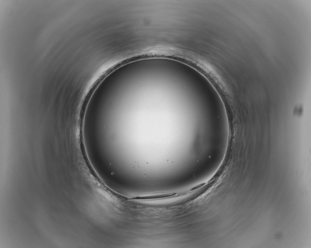X0000091001232200708091533