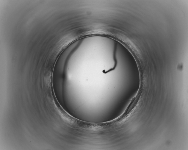 X0000091001233200708091533