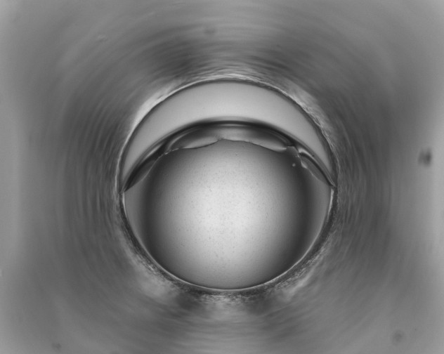 X0000091001234200708091533