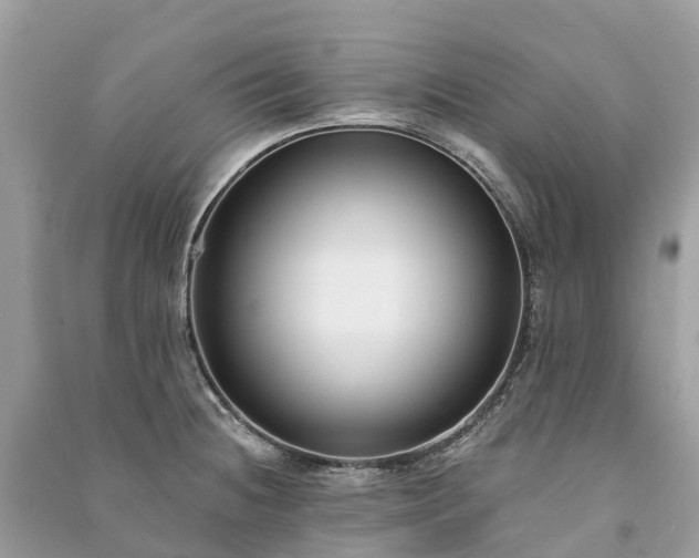 X0000091001236200708091533