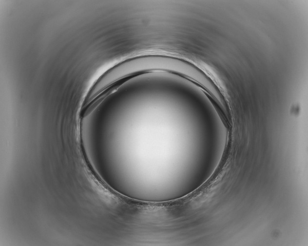 X0000091001238200708091533