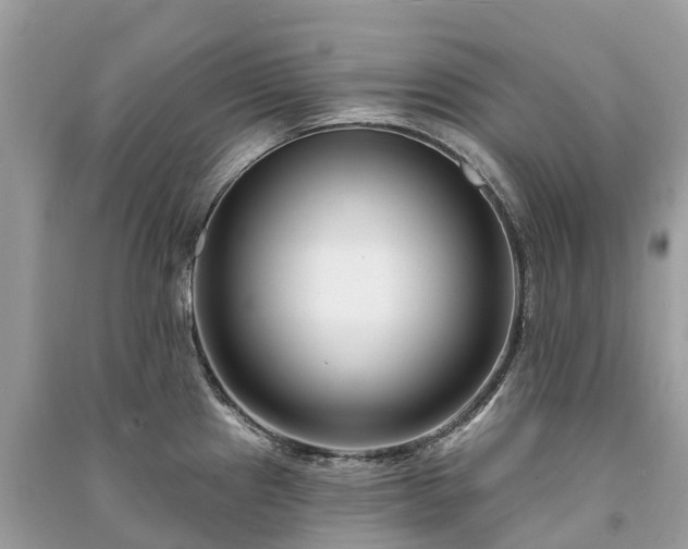 X0000091001241200708091533