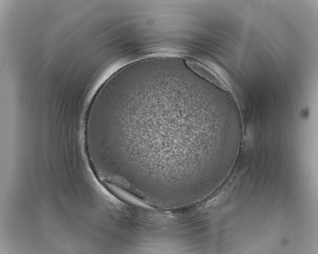 X0000091001243200708091533