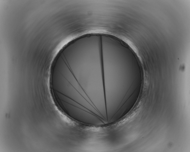 X0000091001245200708091533