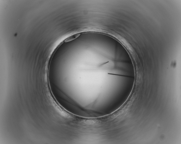 X0000091001246200708091533