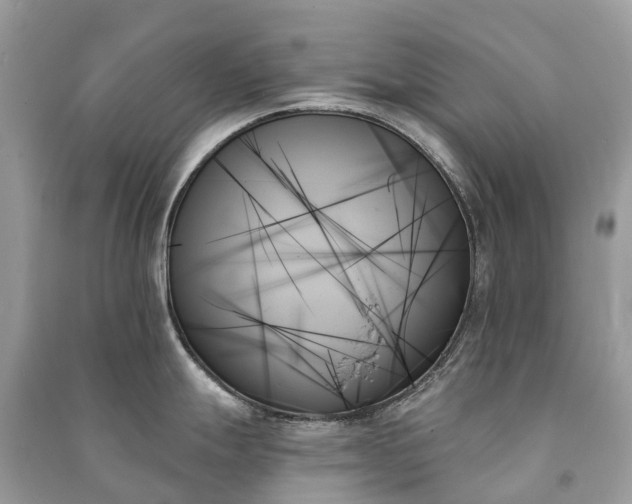 X0000091001247200708091533