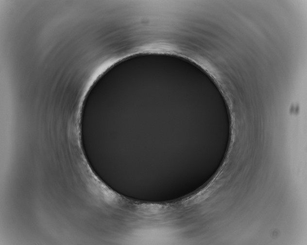 X0000091001248200708091533