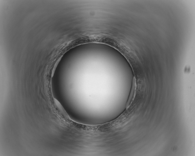 X0000091001249200708091532