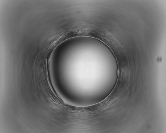 X0000091001250200708091532
