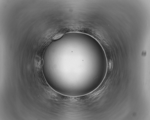 X0000091001251200708091532