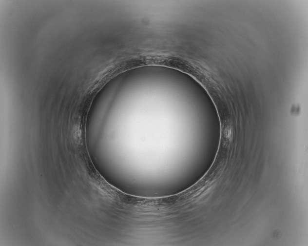 X0000091001252200708091532