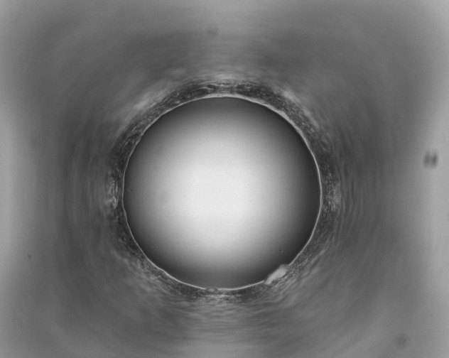 X0000091001253200708091532
