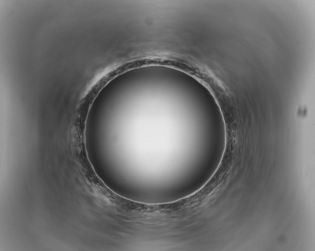 X0000091001256200708091532