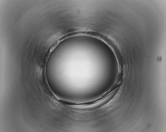 X0000091001257200708091532