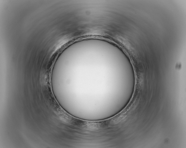 X0000091001258200708091532