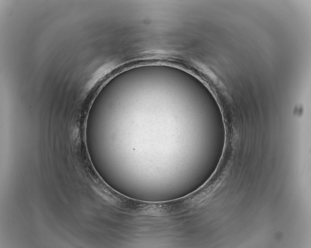 X0000091001259200708091532