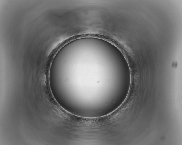X0000091001262200708091532