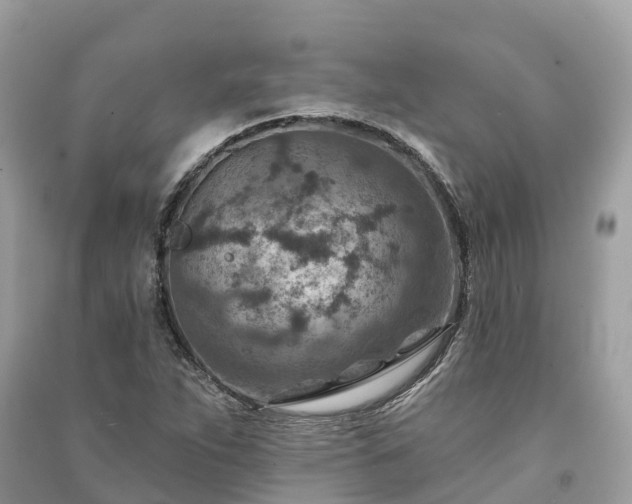X0000091001263200708091532