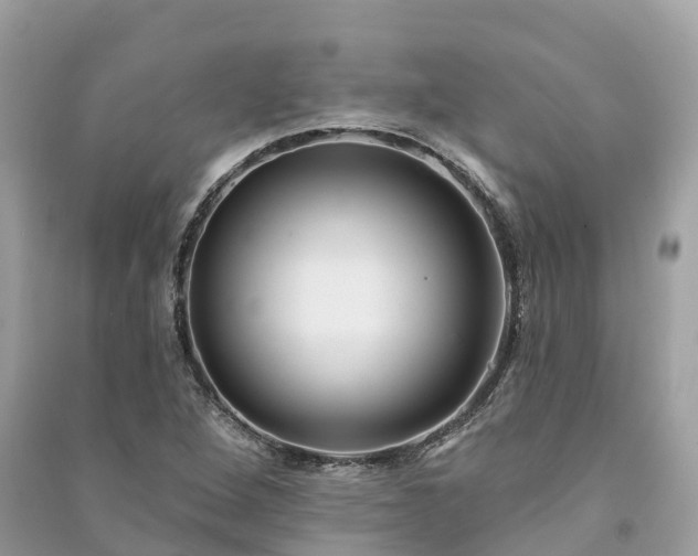 X0000091001264200708091532