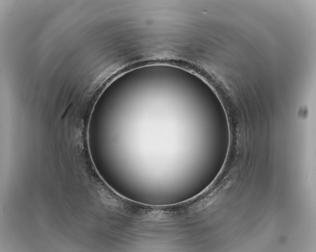 X0000091001265200708091532