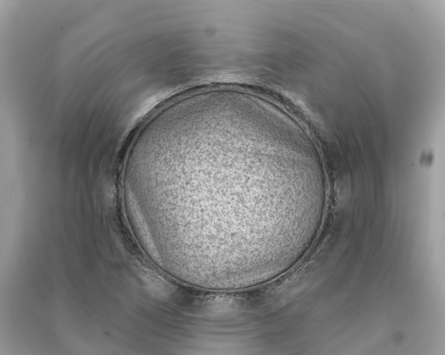 X0000091001266200708091532