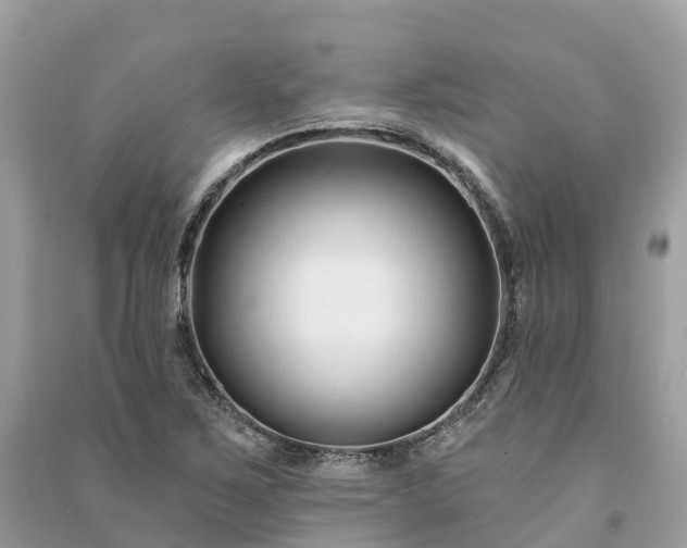 X0000091001267200708091532