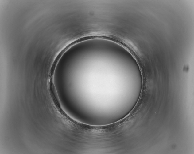 X0000091001268200708091532