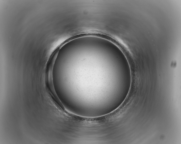 X0000091001269200708091532