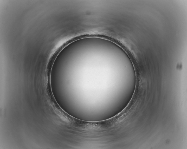 X0000091001270200708091532